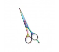 Professional Hair Cutting Scissors